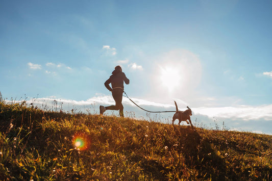 man running with his dog in sunny mountain nature