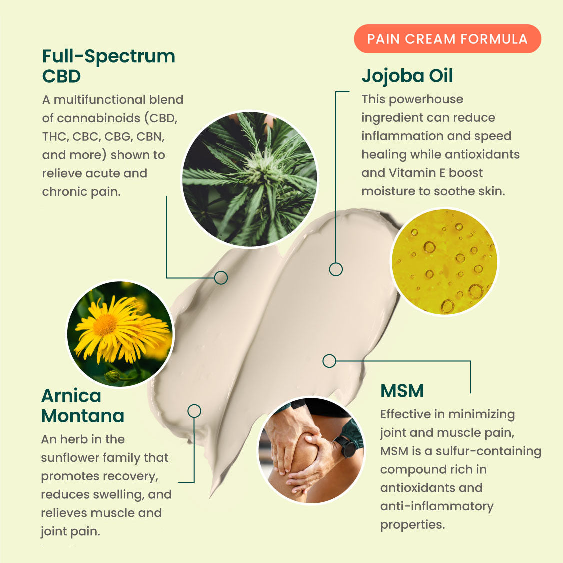 Regular Strength Bundle