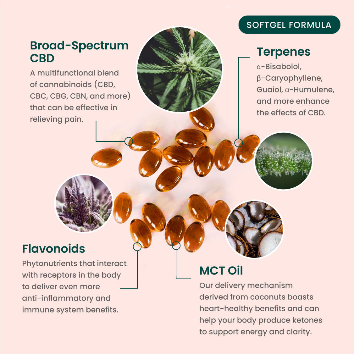 Multifunctional THC-Free CBD Softgels – 34 Count / 30mg