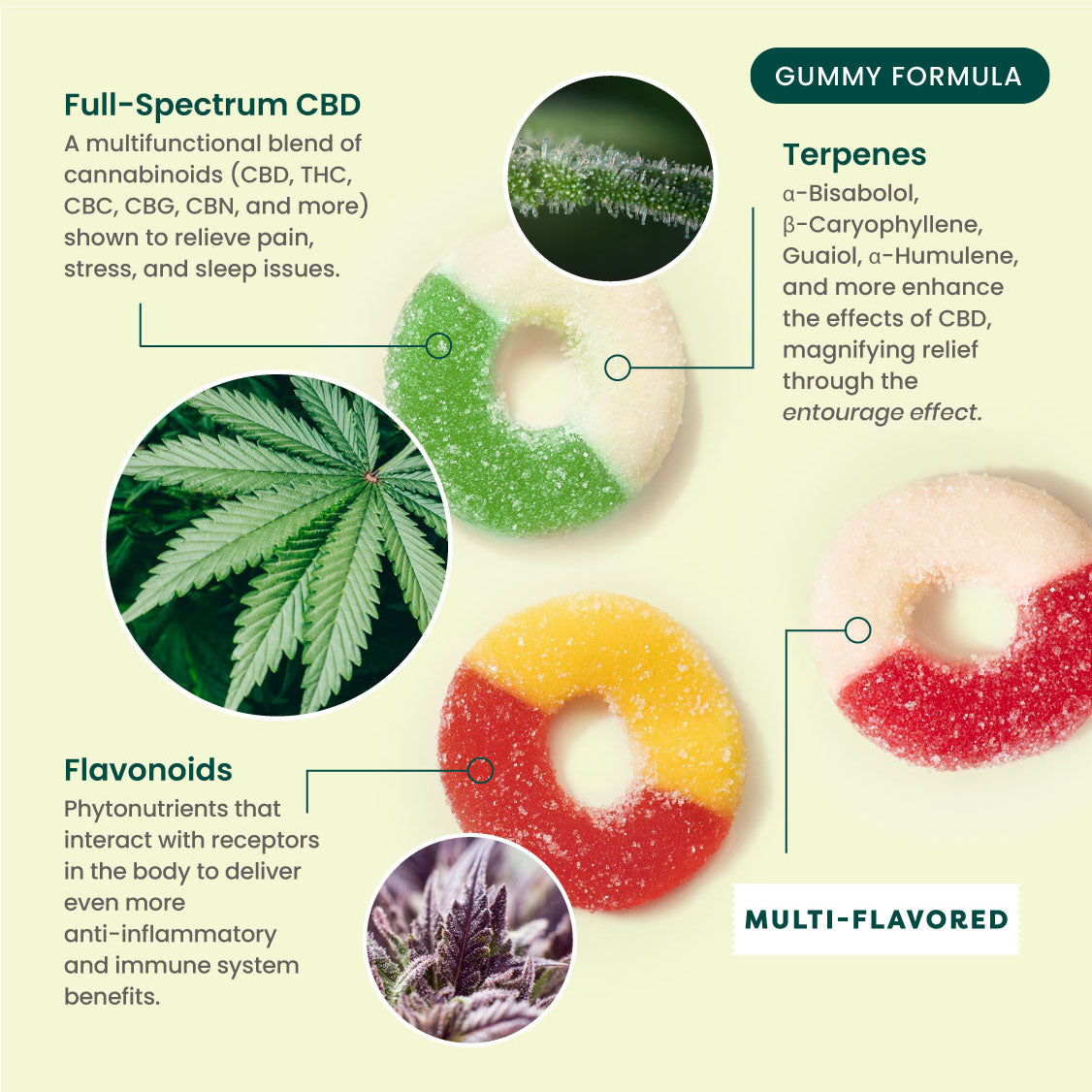 Multifunctional CBD Gummies – 30 Count / 30mg