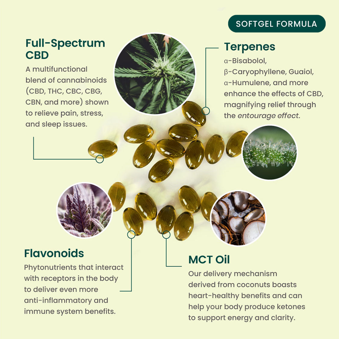 Multifunctional CBD Softgels – 34 Count / 30mg