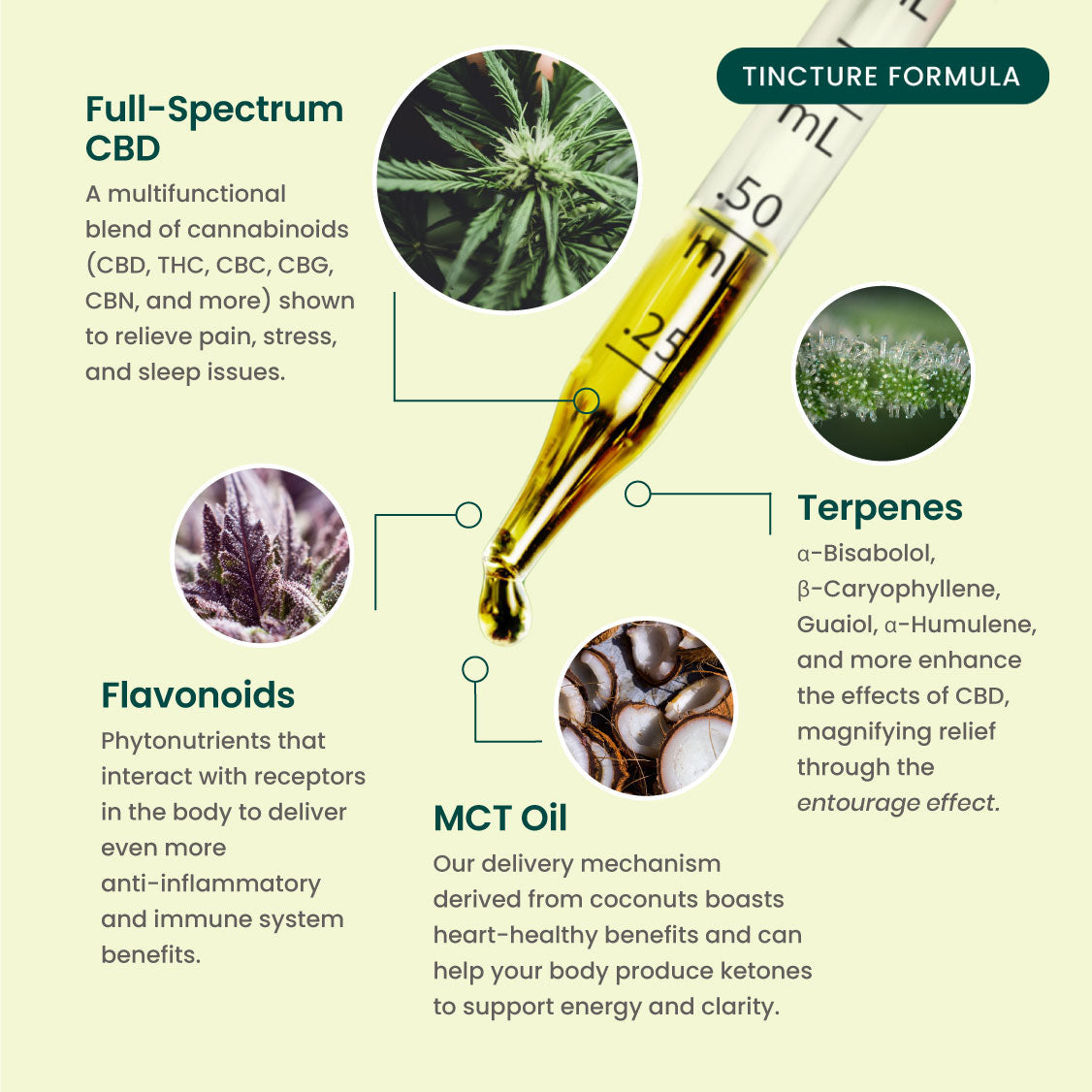 Multifunctional CBD Tinctures – 1 FL Oz / 1000mg / Fresh Mint