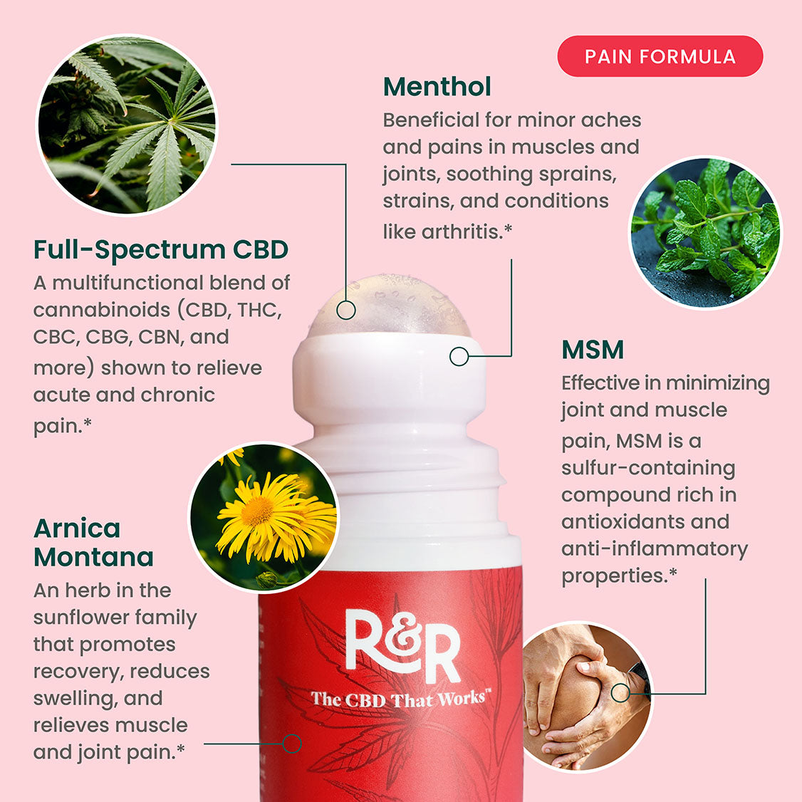 CBD Pain Roll-On – 2.95 FL Oz / 2500mg CBD + 500mg CBG