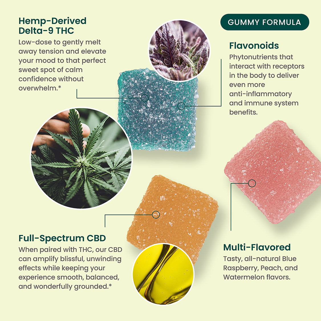 THC Gummies – 20 count / 5mg THC + 10mg CBD
