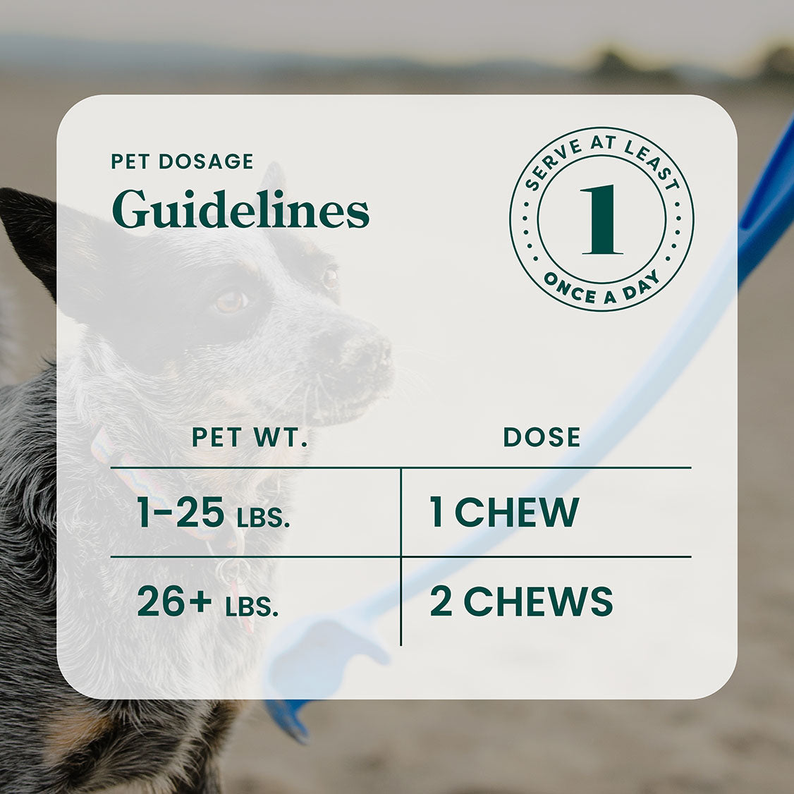 CBD Mobility Dog Chews – 60 Count / 5mg