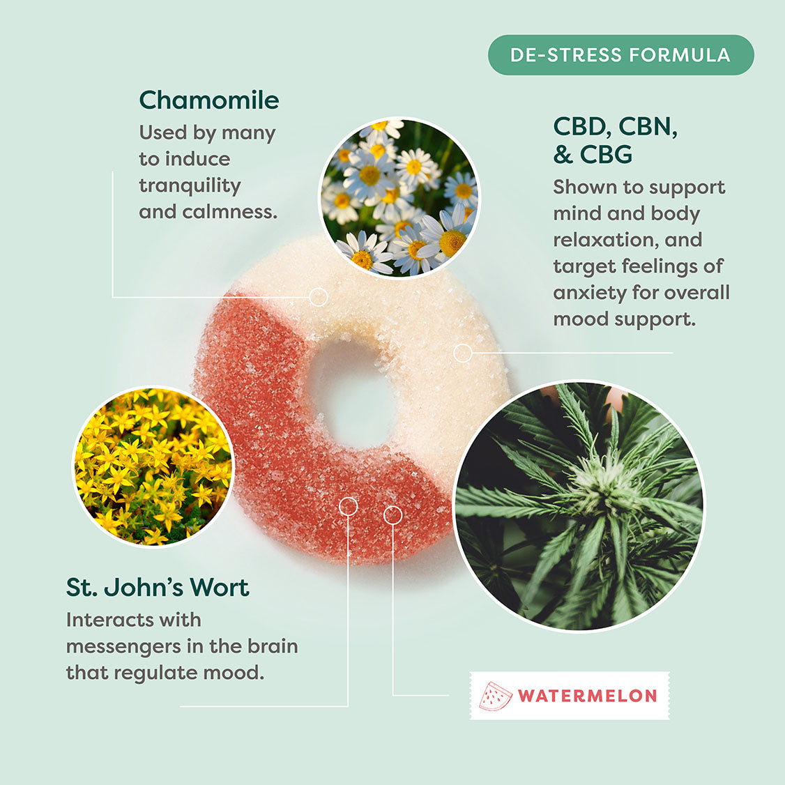 CBD + CBN + CBG De-Stress Gummies